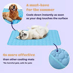 Pawolaf Pet Supplies – Training, Travel