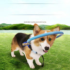 Protective bumper collar with harness mobility aid for blind dogs