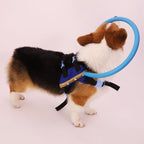 Protective bumper collar with harness mobility aid for blind dogs