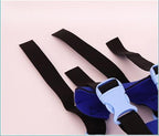 Protective bumper collar with harness mobility aid for blind dogs