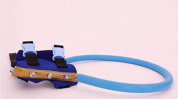 Protective bumper collar with harness mobility aid for blind dogs