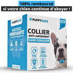 PuppySafe Anti-Bark Collar – Pain-Free Training for Dogs, Behavior Control