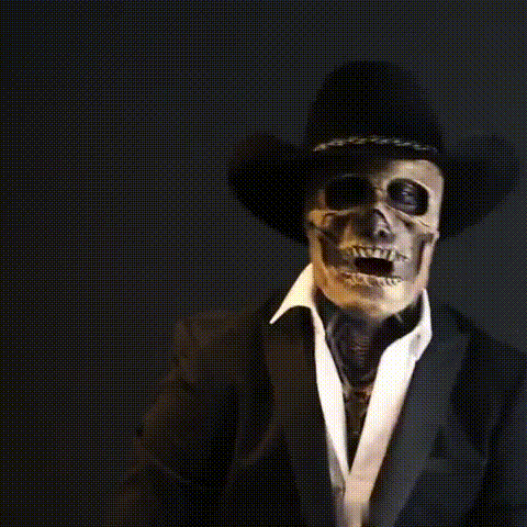 Realistic Skeleton Mask with Hat – Halloween Costume, Party Accessory