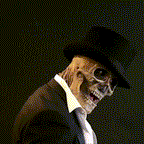 Realistic Skeleton Mask with Hat – Halloween Costume, Party Accessory