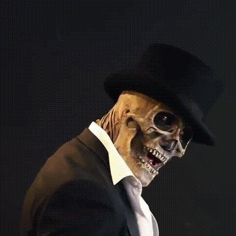 Realistic Skeleton Mask with Hat – Halloween Costume, Party Accessory