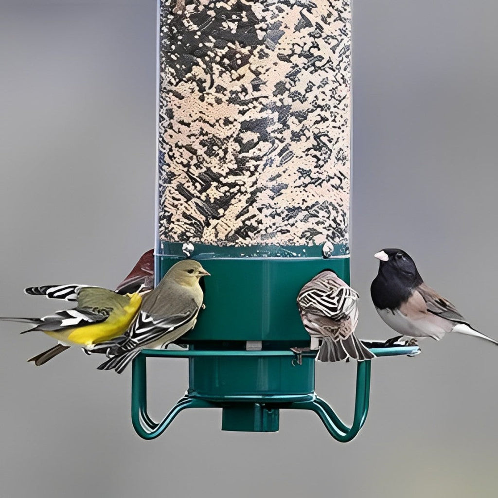 Squirrel-Proof Bird Feeder – Outdoor, Garden