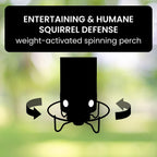 Squirrel-Proof Bird Feeder – Outdoor, Garden