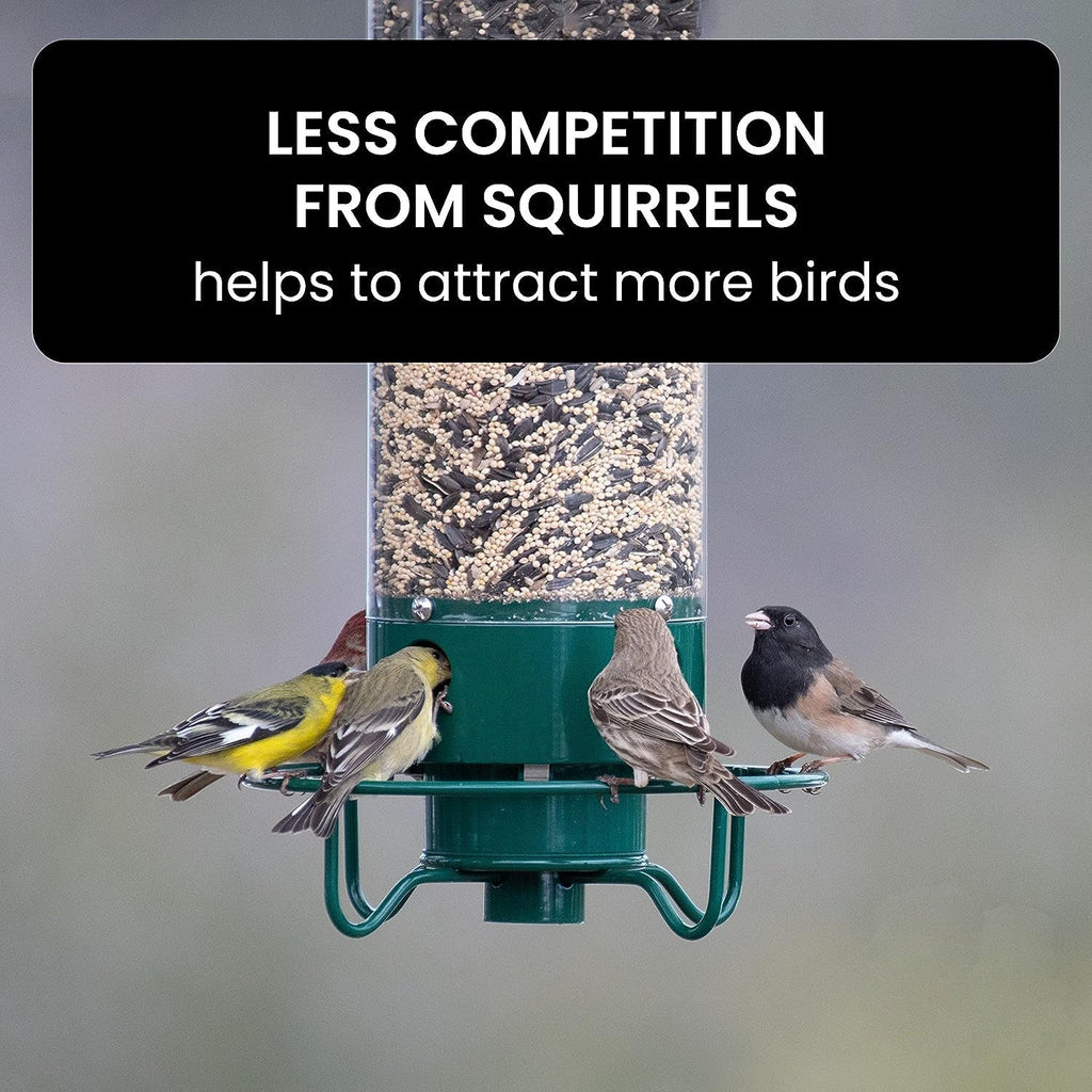 Squirrel-Proof Bird Feeder – Outdoor, Garden