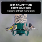 Squirrel-Proof Bird Feeder – Outdoor, Garden