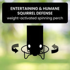 Squirrel-Proof Bird Feeder – Outdoor, Garden
