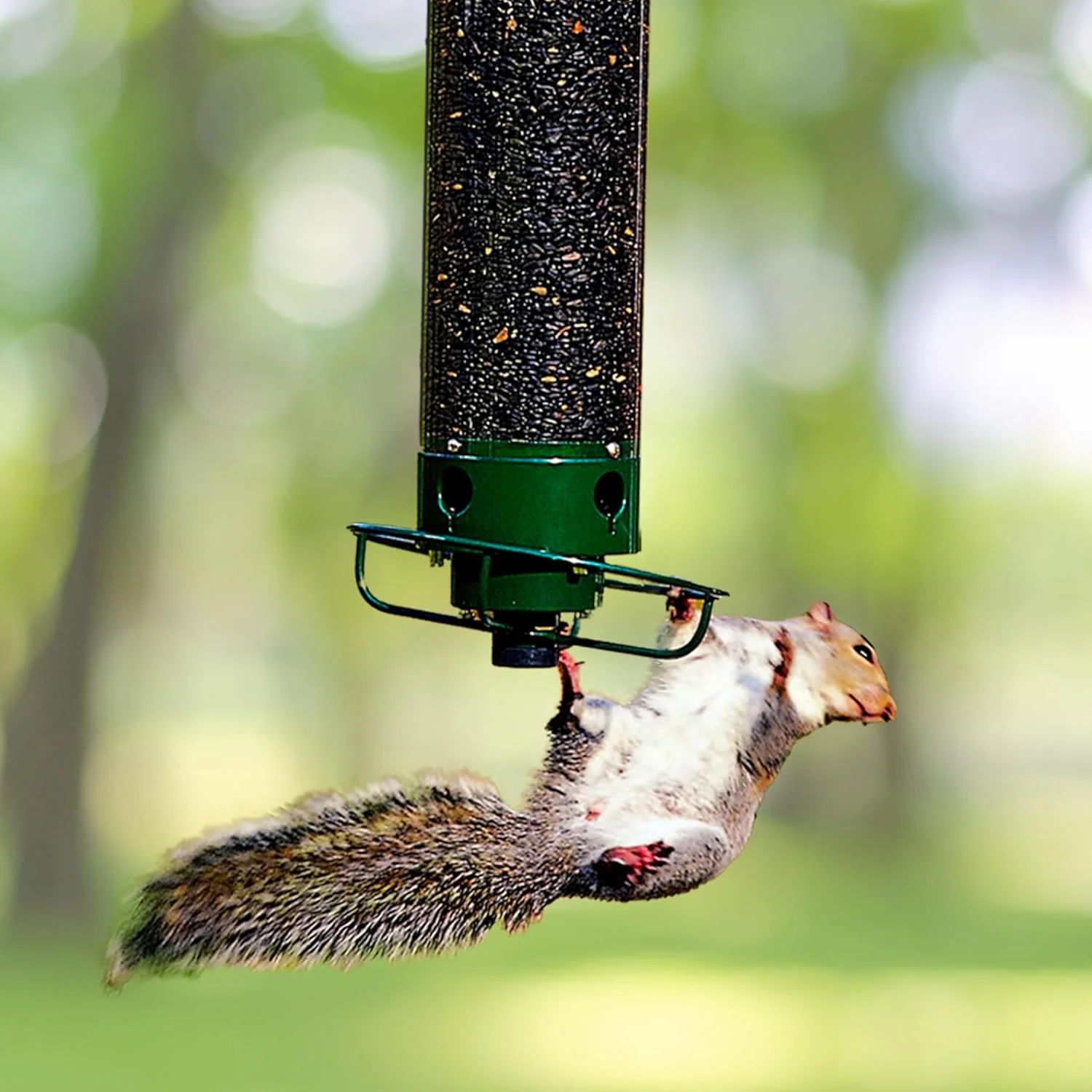 Squirrel-Proof Bird Feeder with Spinning Perch – Outdoor, Garden
