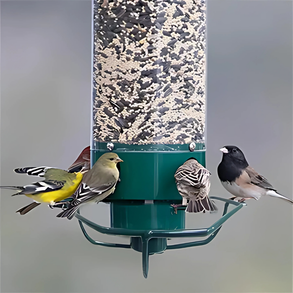 Squirrel-Proof Bird Feeder with Spinning Perch – Outdoor, Garden