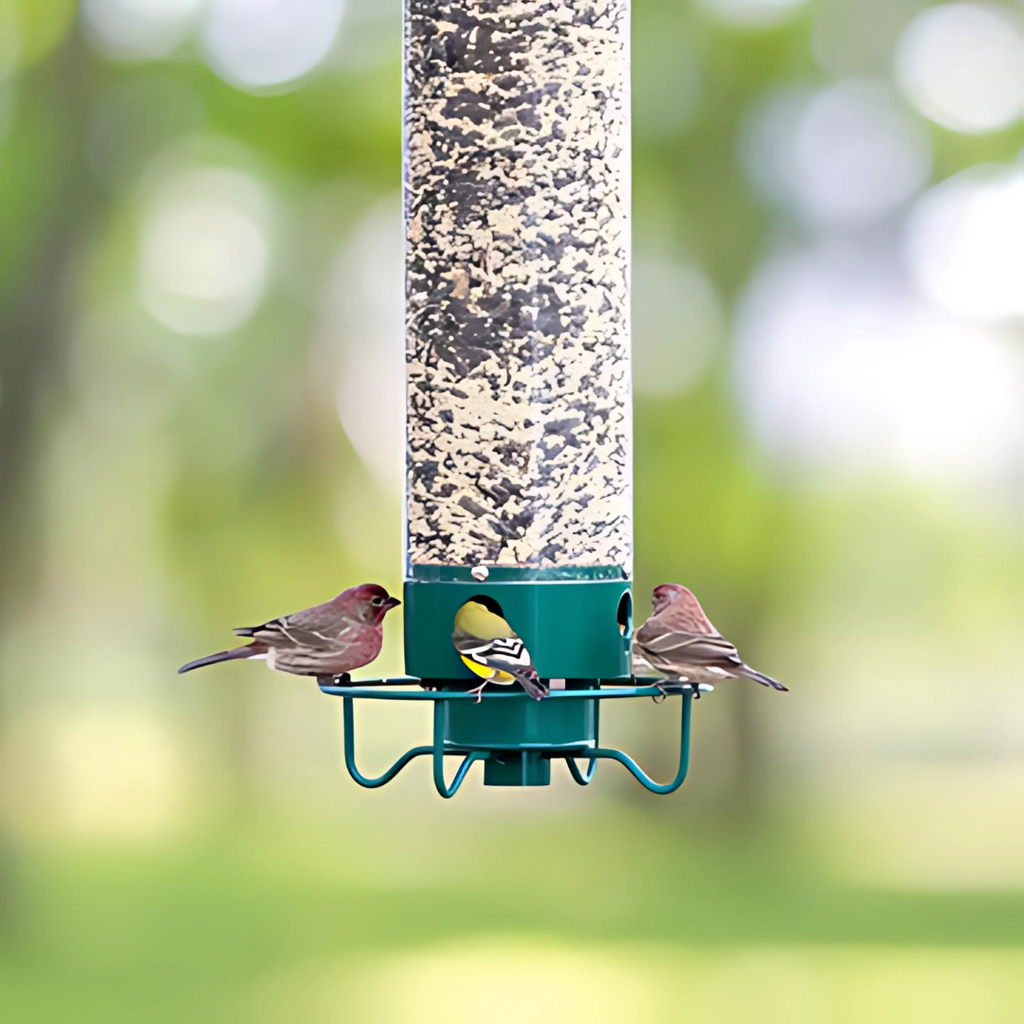 Squirrel-Proof Bird Feeder with Spinning Perch – Outdoor, Garden