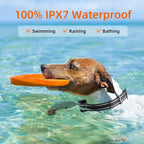 Waterproof Rechargeable Dog Training E-Collar 1000m – Training, Outdoor