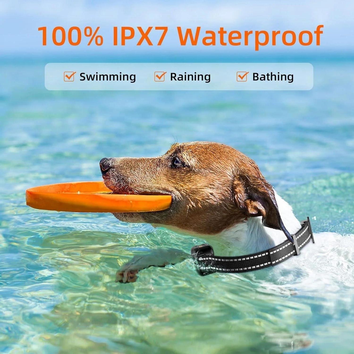 Waterproof Rechargeable Dog Training E-Collar 1000m – Training, Outdoor