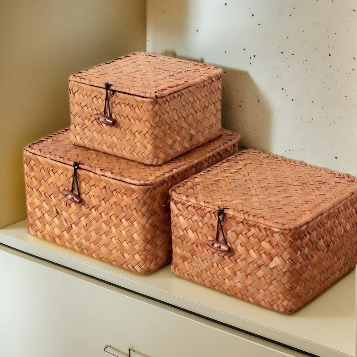 Women's Woven Storage Basket, Rattan Design with Lid – Laundry, Home Organization