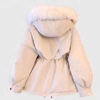 Winter Elegant Jacket – Casual, Office