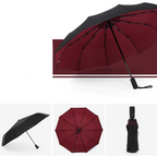 Folding Umbrella – Stormproof, Ideal for Travel, Outdoor
