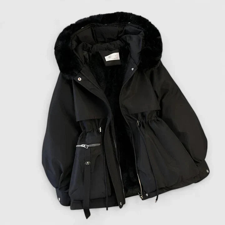 Winter Elegant Jacket – Casual, Office